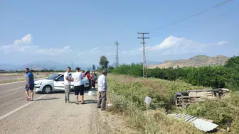 Adana'da otomobilin çarptığı araç narenciye bahçesine devrildi : 4 yaralı