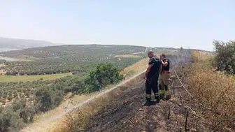 Hatay'da anız yangını itfaiye tarafından söndürüldü