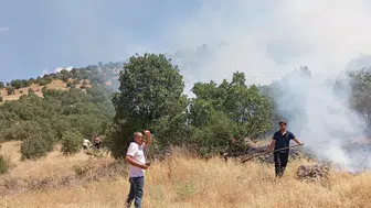 Mardin Ömerli'de ormanlık alanda yangın