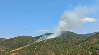 Balıkesir Burhaniye'de çıkan orman yangını kontrol altına alındı