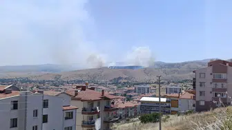 Afyonkarahisar'da otluk alanda yangın