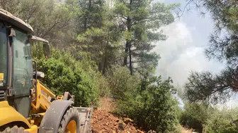 Bodrum'da ormanlık alanda yangın : Ekiplerin 1 saatlik çalışmasıyla söndürüldü