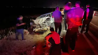 Şanlıurfa Siverek'te otomobil koyun sürüsüne daldı : 3 yaralı, 11 hayvan telef