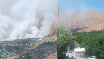 Bitlis'te yangın nedeniyle binlerce arı telef oldu