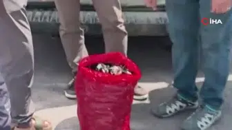 Yalova'da 3 bin kilogram kaçak midye ele geçirildi