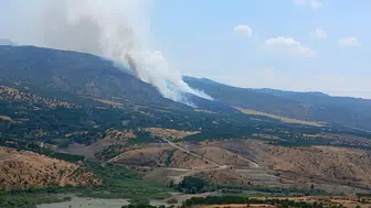 Malatya Pütürge'de orman yangını : Ekiplerin müdahalesi sürüyor