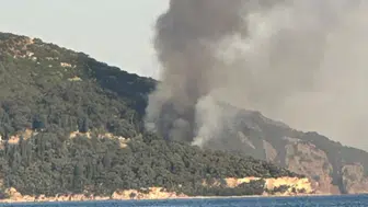 Büyükada'daki Viranbağ Plajı’nda yangın çıktı