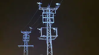 Afyonkarahisar'da göç eden leylekler tellere kondu : Beldelerde elektrik kesintisi yaşandı