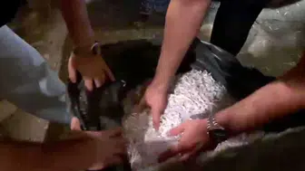 Alihan Kuriş soruşturmasında evrak imha ihbarı doğrulandı