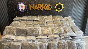 Silivri'de uyuşturucu operasyonu : Tırda 376 kilo marihuana ele geçirildi
