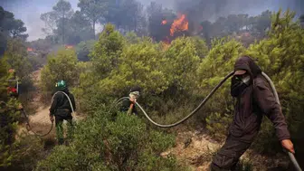 Cezayir’de orman yangını faciası : 12 kişi hayatını kaybetti