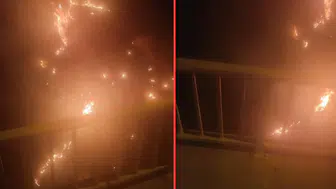 Bursa Karacabey'de ormanlık alanda yangın çıktı