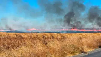 Tekirdağ'da anız yangını : 25 dönüm tarım arazisi küle döndü