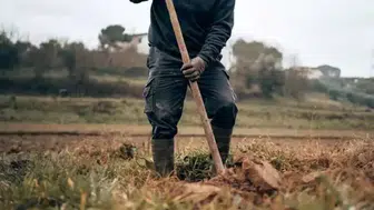 Çiftçiler iç çamaşırlarını neden toprağa gömüyor? Asıl nedeni bakın ne çıktı