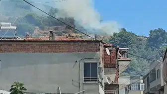 Marmara Adası'nda orman yangını