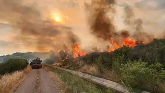 Çanakkale’de orman yangını riskine karşı 3 günlük yasak