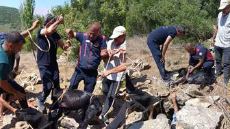 Hatay'da keçi su kuyusuna düştü : Kurtarılıp sahibine teslim edildi