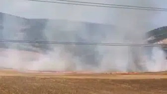 Bursa'da tarlalık alanı ateşe veren 16 yaşındaki şüpheli yakalandı