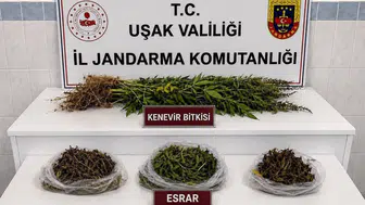 Uşak'ta kaçakçılık ve uyuşturucu operasyonu