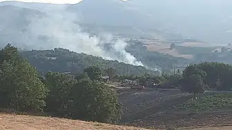 Kocaeli'de ormanlık alanda yangın