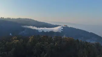 Aydın Kuyucak'ta orman yangınında 20'nci saat geride kaldı