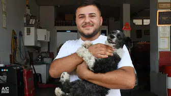 Adana'da duyarlı esnaf boğazına cisim kaçan köpeği kurtardı