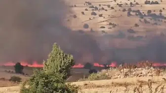 Eskişehir'de tarım arazileri alevlere teslim oldu