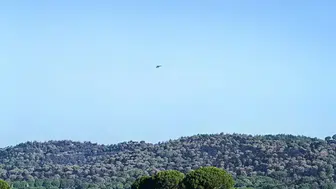 Balıkesir Gömeç'teki orman yangını 4'üncü gününde