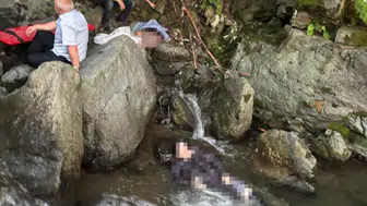 Ordu'da uçurumdan düşen 2 kardeşin cansız bedenleri bulundu