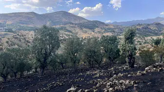 Siirt’te bir günde 5 yangın : Bir bölgede söndürme çalışmaları sürüyor