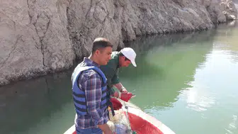 Van'da sazangiller için uygulanan av yasağı sona erdi : Tarım İl Müdürlüğü'nden uyarı