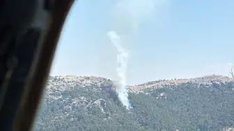 Muğla Milas’ta çıkan orman yangını söndürüldü