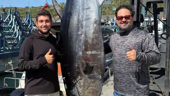 İzmir Sığacık açıklarında 260 kilogramlık orkinos yakalandı