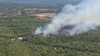 İzmir Buca'da orman yangını : Alevlere havadan ve karadan müdahale ediliyor