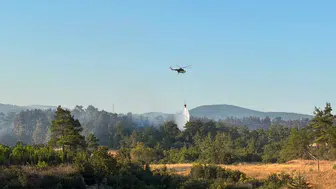 Çanakkale Bayramiç'teki orman yangını kontrol altına alındı