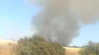Çanakkale Ezine'de orman yangını