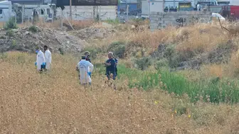 Tarlada erkek cesedi bulundu