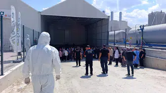 Domates serasında zehirlenme