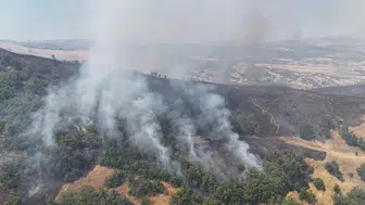 Tunceli'de orman yangını : Havadan ve karadan müdahale sürüyor