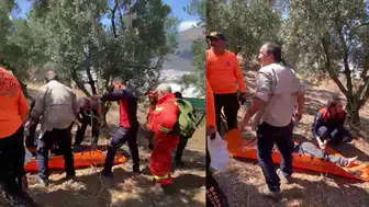 Bursa'da kayıp epilepsi hastası 36 saat sonra zeytinlik alanda bulundu