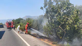 Muğla Ula'da yol kenarında yangın