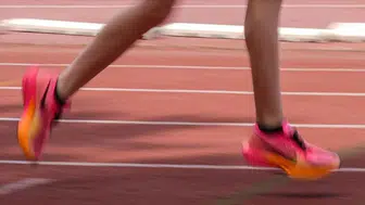 Milli sporcu yerleştirme başvuruları başladı