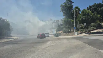 Bodrum'da otluk alanda çıkan yangın büyümeden söndürüldü
