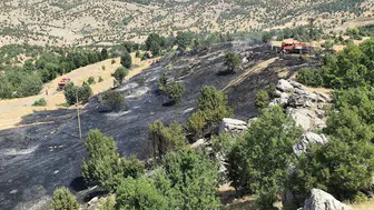 Bingöl’de iki ayrı noktada çıkan yangınlar söndürüldü