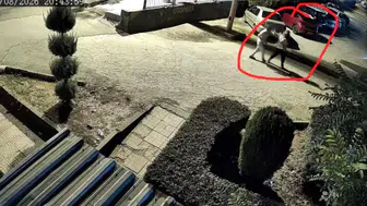 Diyarbakır'da boşanma aşamasındaki eşini öldüren şahıs tutuklandı