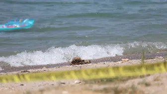 Çanakkale'de halk plajında tarihi mühimmat alarmı : Bomba imha ekipleri sevk edildi