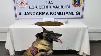 Eskişehir'de 361 gram bonzai ele geçirildi : Şüpheli tutuklandı