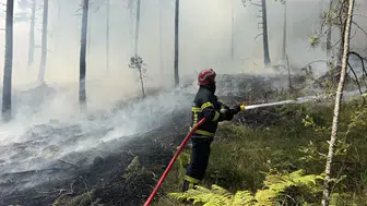 Bolu’da yerleşim alanına yakın ormanlık bölgede yangın