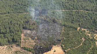 Muğla Yatağan'da orman yangını : Ekipler kontrol altına aldı