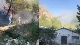 Hatay'da orman yangını : Havadan ve karadan müdahale başlatıldı